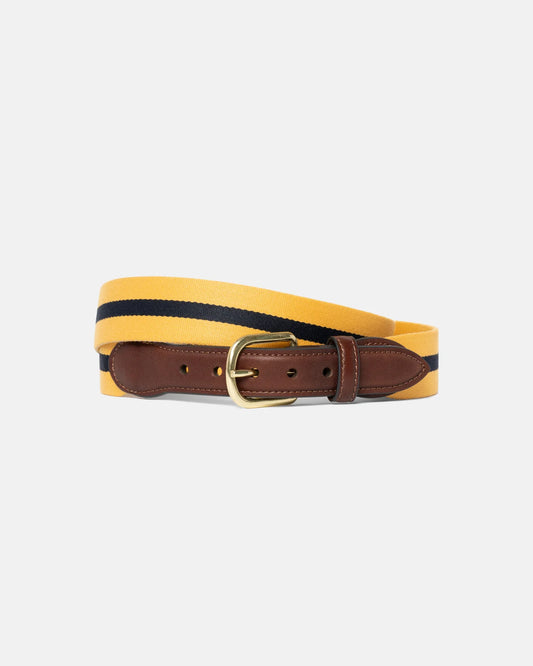 Surcingle Belt